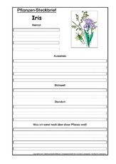 Pflanzensteckbrief-Iris.pdf